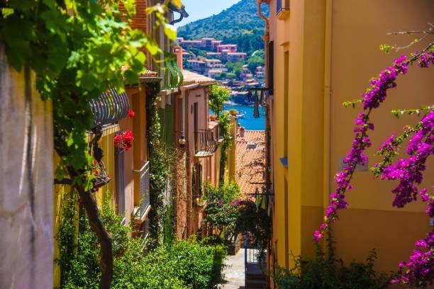 Studio Centre Plage Collioure Exterior foto
